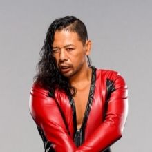 shinsuken