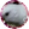 shirotama45