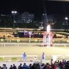 shiroutokeiba22