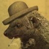 shitmongoose