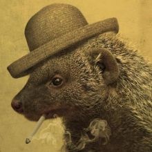 shitmongoose