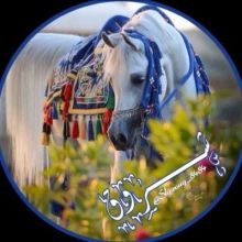 shorouq.8484