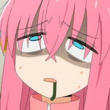 shrimp.otogamer