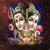 shrma67754315