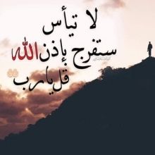 shumus7