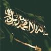 simohazazi1
