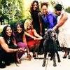 sixbrownchicks