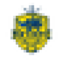 skynfc1