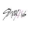 skz.insta
