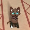 smolphish