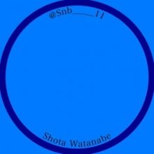 snb.11