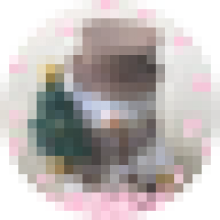 snow0517.star