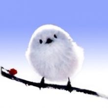 snowkoke