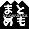snowmaninfo0122