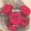 sochanjigu812