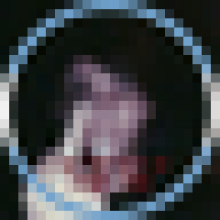 sofisholland