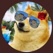 soflodoge