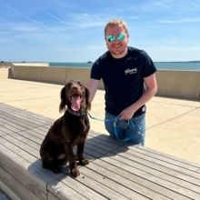 spanielcooper1
