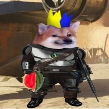 spectreofnnsens