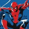 spidermanbra