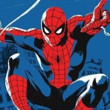 spidermanbra