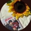 springf33512577