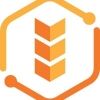 stakify.io