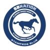 stampedeblue