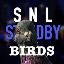 standbybirds