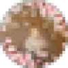 stepintopurple