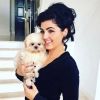 stormhuntley