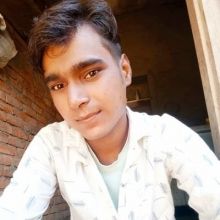 sumitve73535986