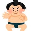 sumo307