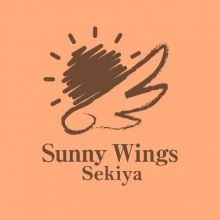 sunnywings234