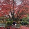 sweetsweetsauce