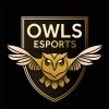 swfc.esports