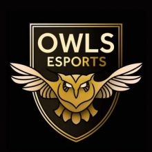 swfc.esports