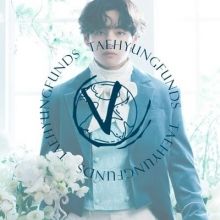 taehyungfunds