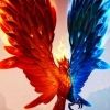 tajdollaz