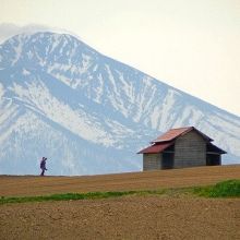 tajimakosaku