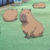 takohachibar1