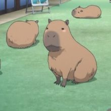 takohachibar1