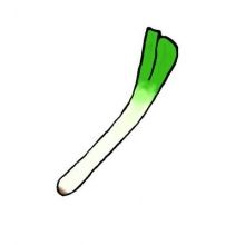 tama.leek