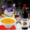 tanyawoz