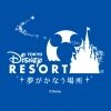 tdr.pr