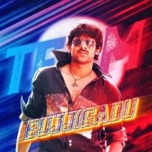 teambujjigadu