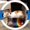 teilyrainy