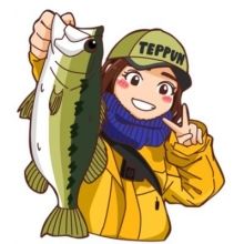 teppun88