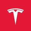teslacarsonly
