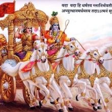 thadhanimanish